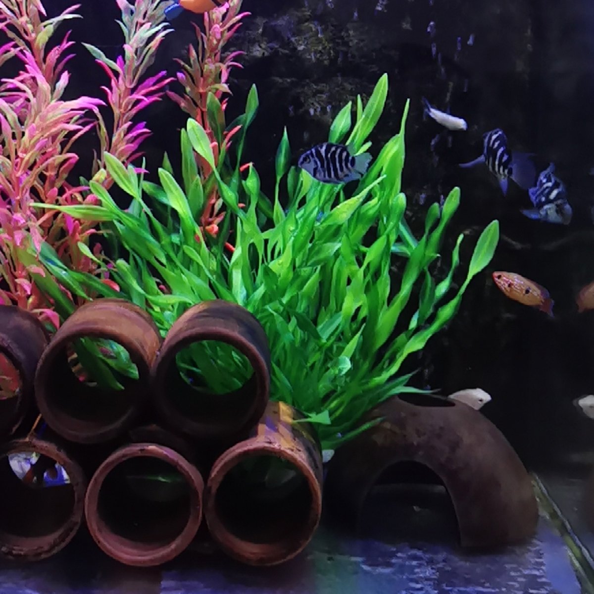 Vibrant Artificial Underwater Plants for Aquariums