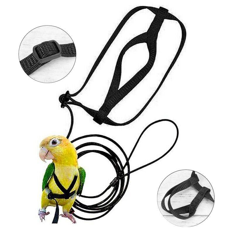 Pet Parrot Bird Harness & Lead Leash