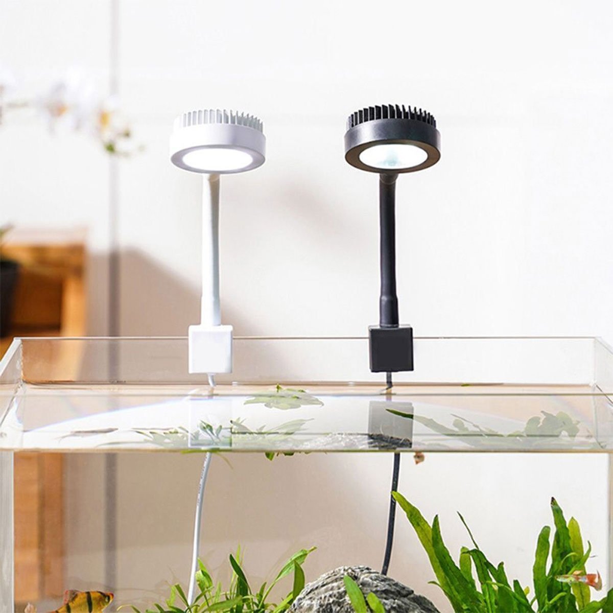 Efficient aquarium lights for plants for small fishbowls and desktop aquariums