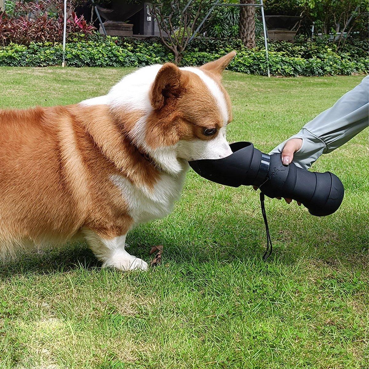 550ml Dog Outdoor Water Cup Pet Travel Kettle Pet Out Folding Water Cup