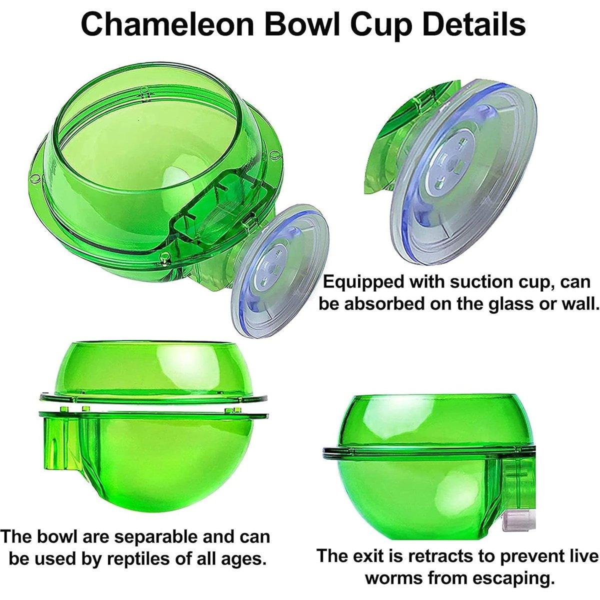 Suction Cup Reptile Feeder Bowl Anti-Escape Feeding Dish for Small Reptiles