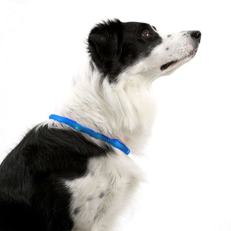 USB Rechargeable Light Up LED Dog Collar for Night Safety AU