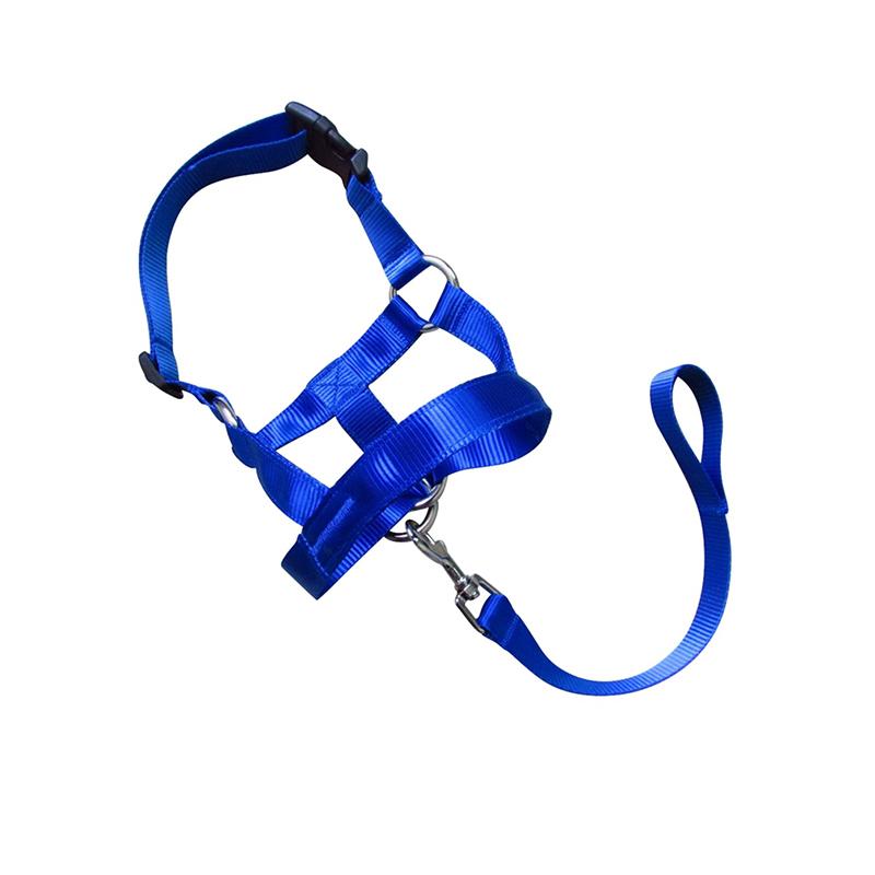 Dog Training Head Collar Halter Stop Pulling Training Tool Harness