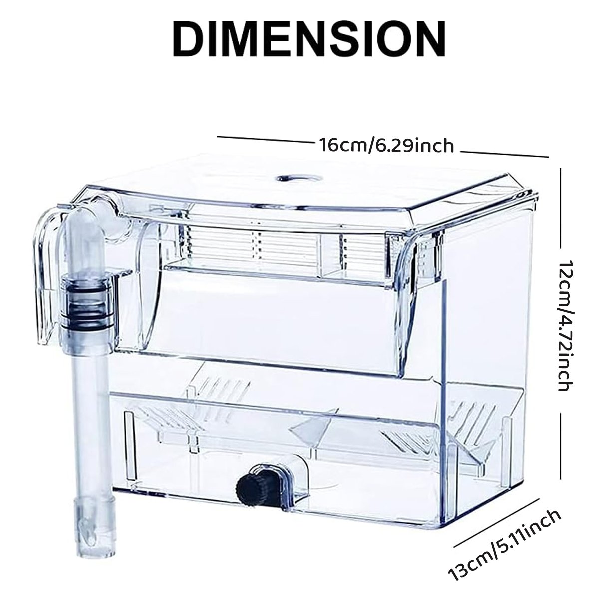 Durable Outboard Fish Isolation Box for Breeding and Protection