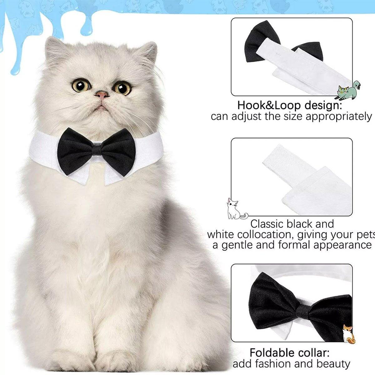 Adjustable Solid Colour Bow Tie Designer Pet Collar For Dog and Cat