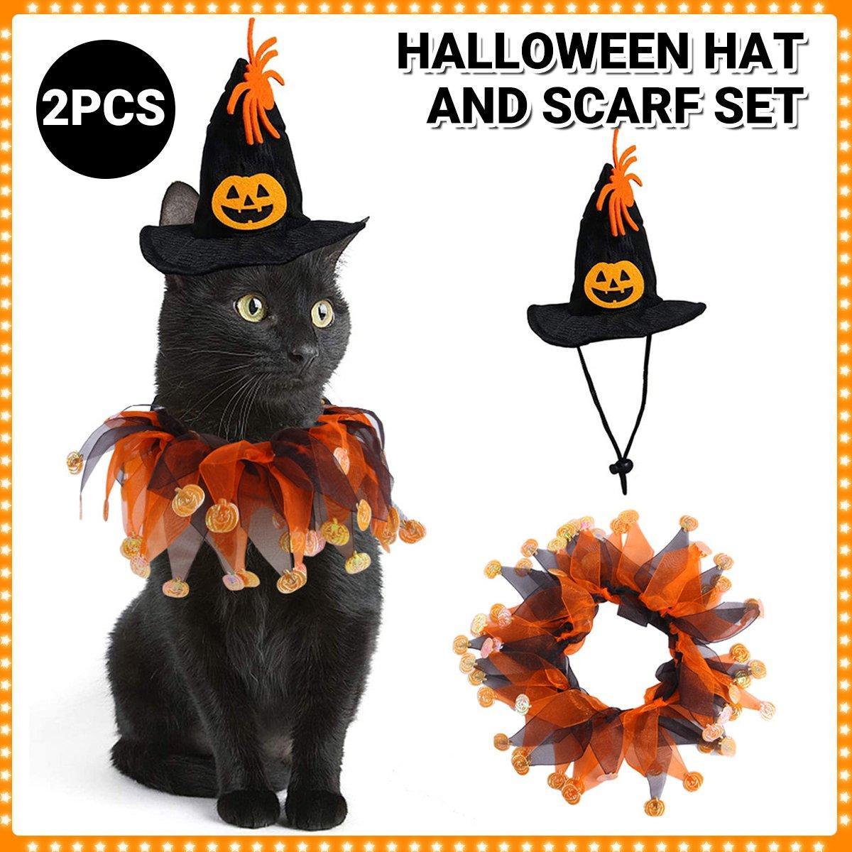 Halloween Cat Costume - Skull Pattern Hat and Scarf Set