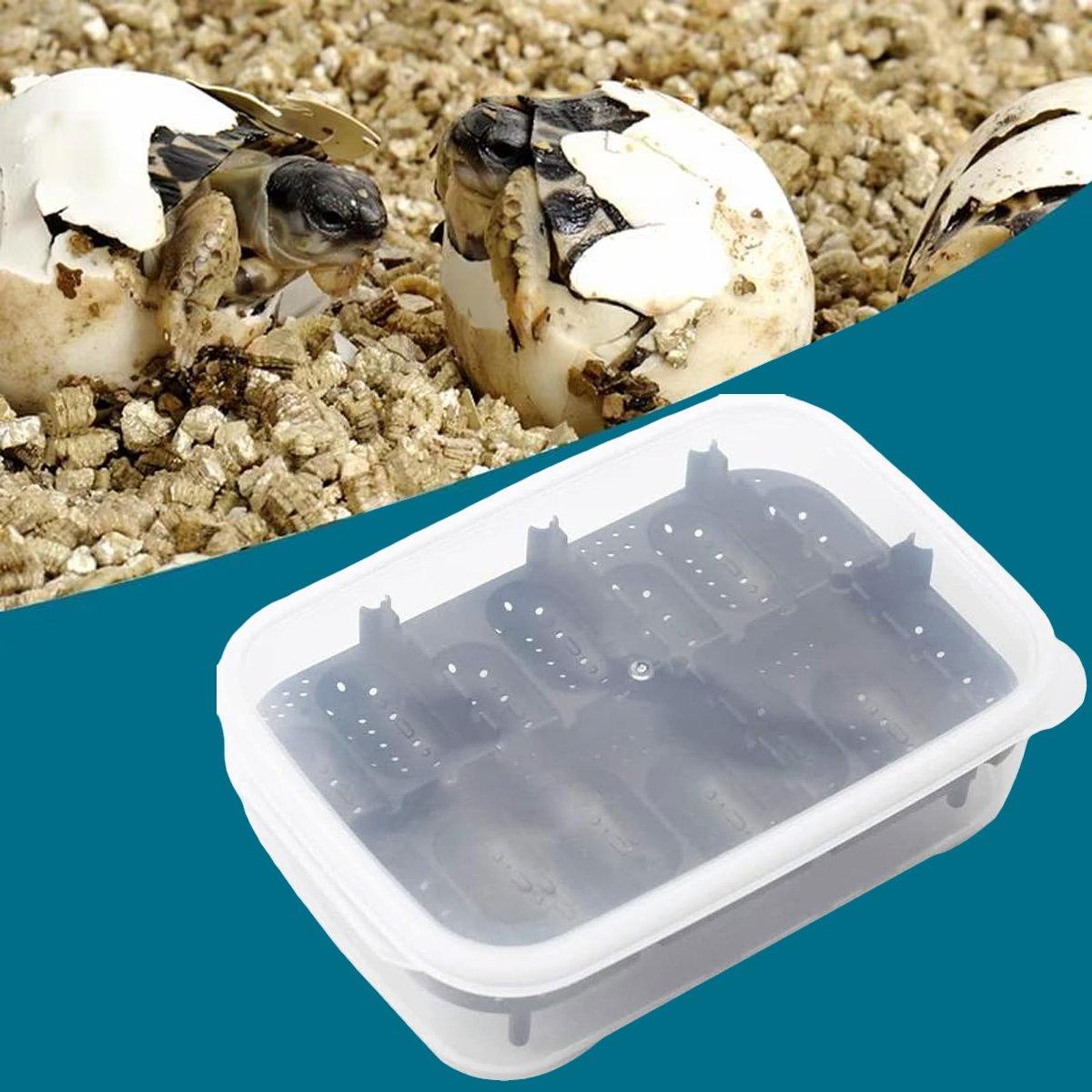 14 Grids Reptile Egg Incubator Secure Hatch Box for Lizards & Turtles