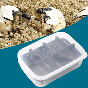 14 Grids Reptile Egg Incubator Secure Hatch Box for Lizards & Turtles