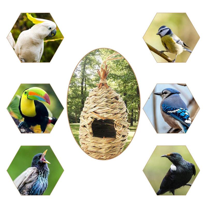 Wild Bird House Bird Nest Breeding Box 4 Styles