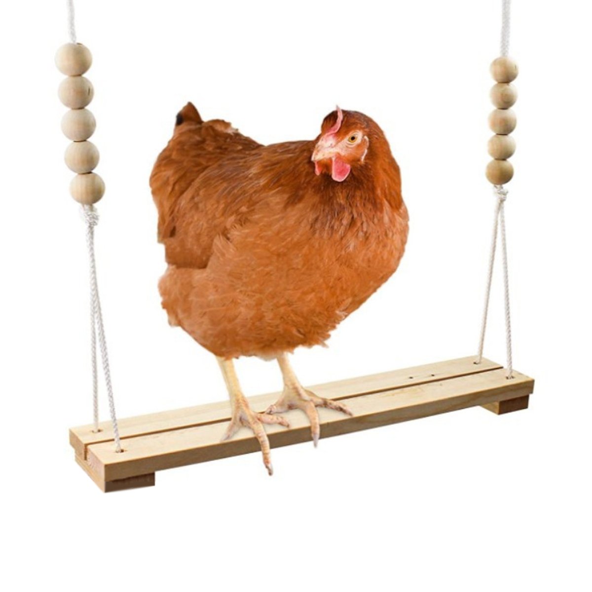 Durable Wooden Chicken Swing  Adjustable Rope & Handmade Beads