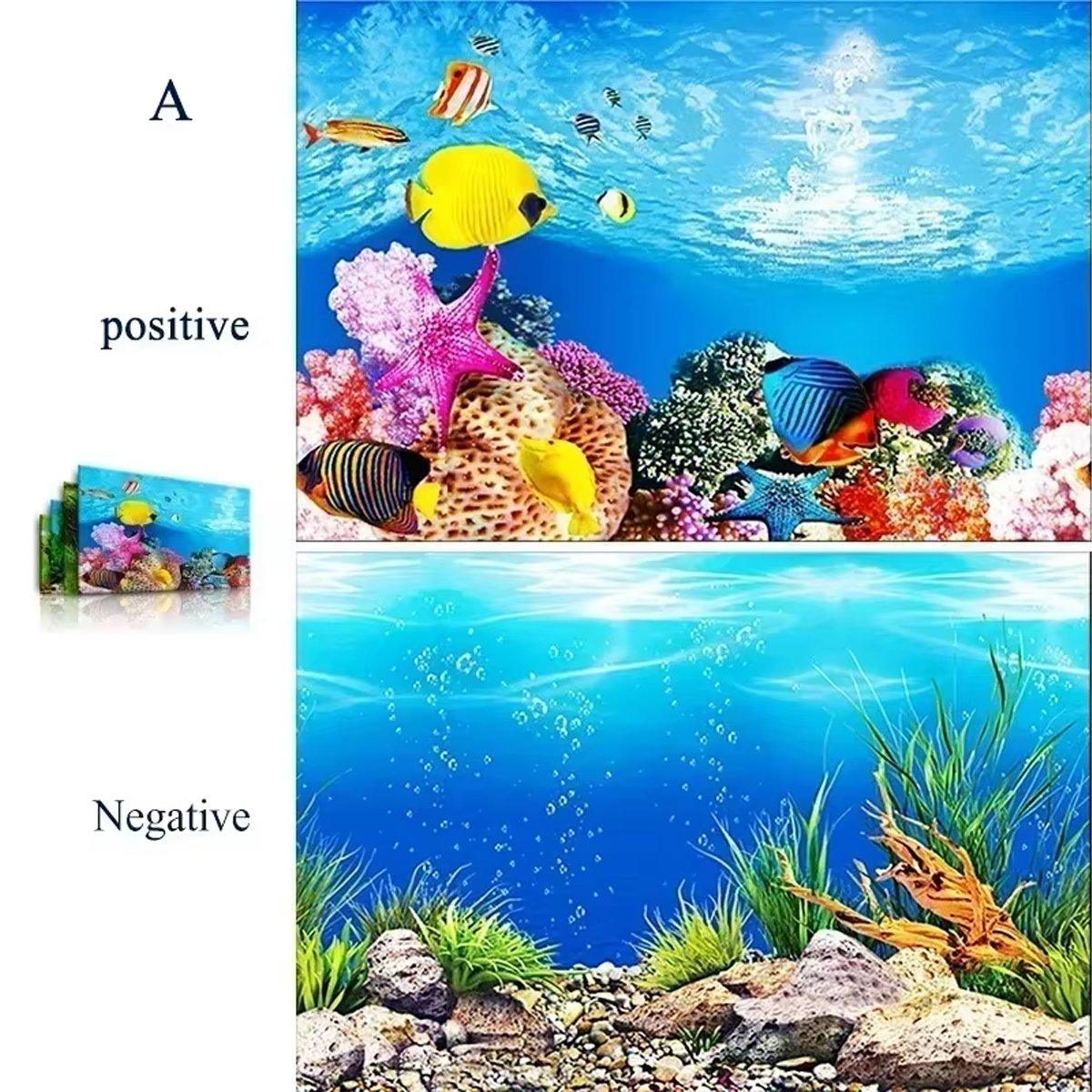 Double-Sided 3D Fish Tank Background Realistic PVC Aquarium Décor