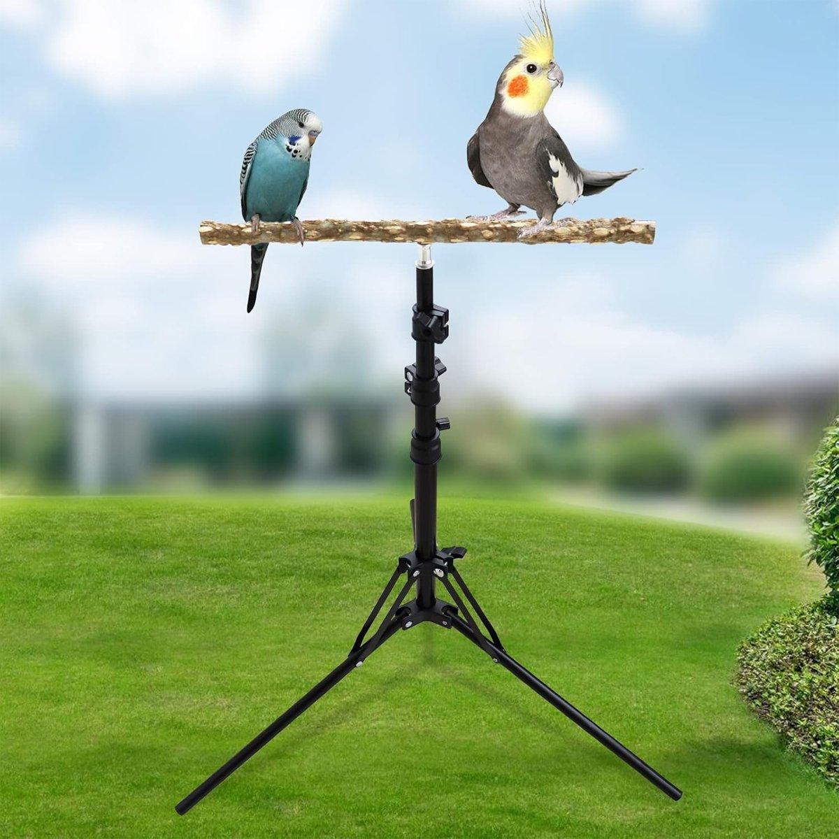 Adjustable Bird Perch Stand Foldable Training & Play Stand for Parrots & Birds