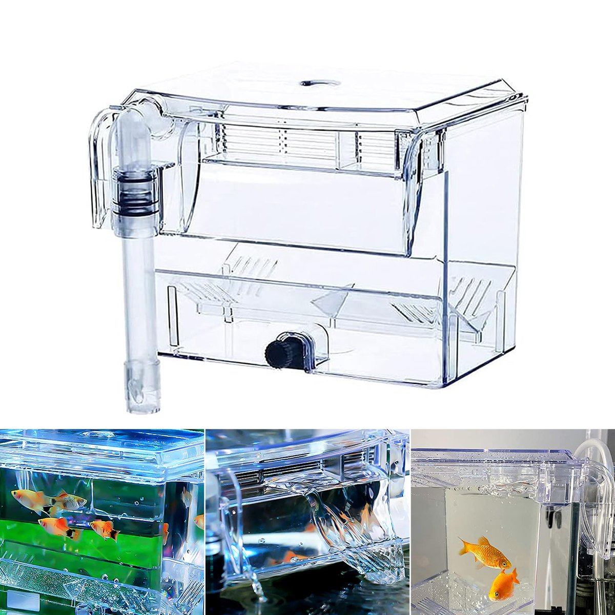 Durable Outboard Fish Isolation Box for Breeding and Protection