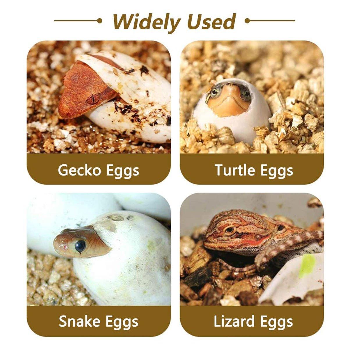 Reptile Pet Egg Incubator for Hatching High Quality Home Use Reptile Care