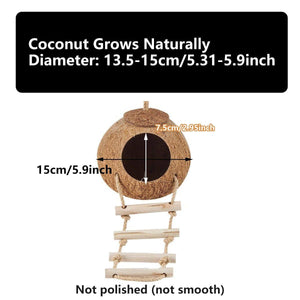 Natural Coconut Shell Bird Nest Safe & Cozy Bird House