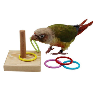 Parrot Chew Toys Interactive Bird Training Rings Set Pet Bird Intelligence Toys