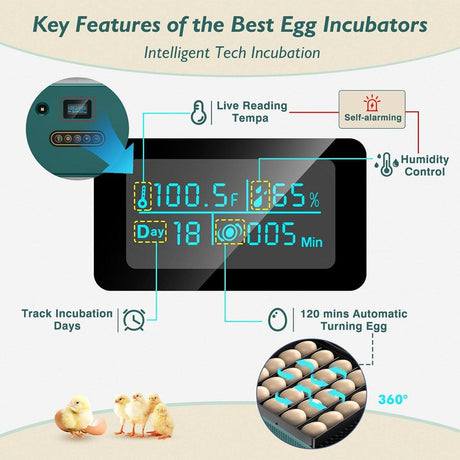 Fully Automatic Chicken Incubator with LED Display