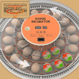 Intelligent New Incubator 30 Automatic Egg Incubator