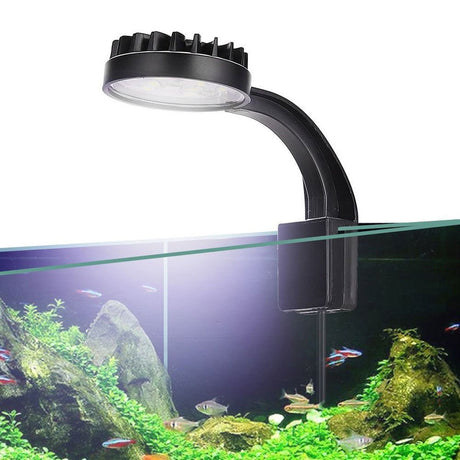 Efficient aquarium lights for plants for small fishbowls and desktop aquariums