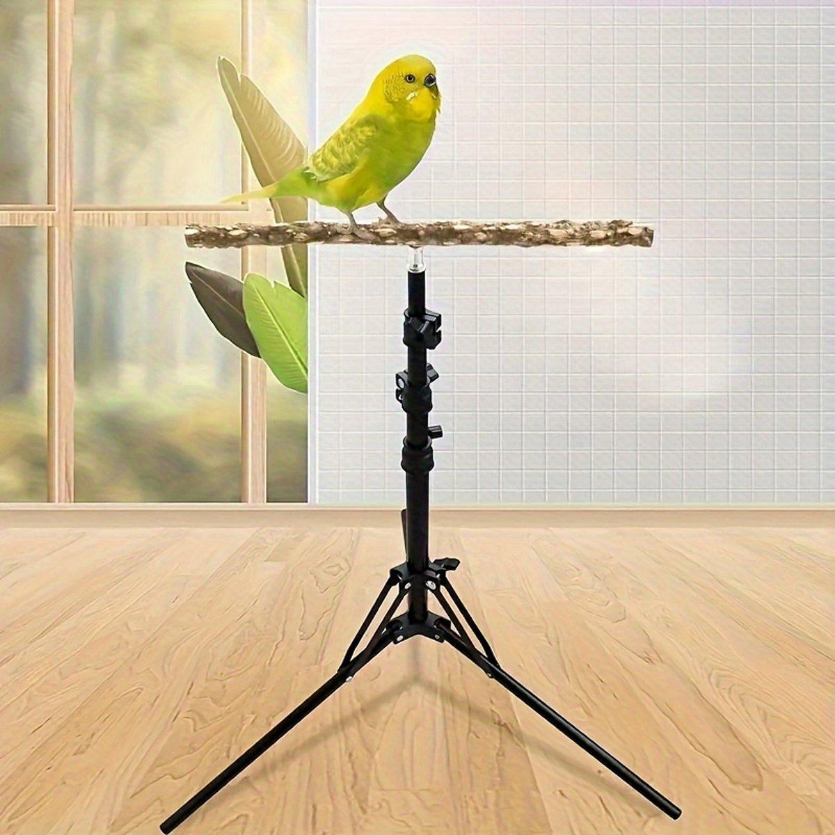 Adjustable Bird Perch Stand Foldable Training & Play Stand for Parrots & Birds