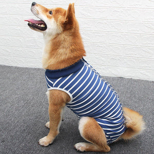 Dog Recovery Suit for Post-Surgery Breathable & Comfortable (S-XXL)