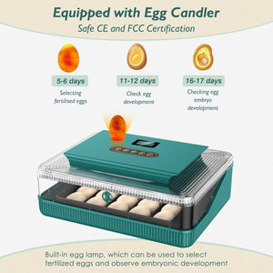 Fully Automatic Chicken Incubator with LED Display