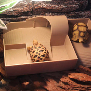 Tortoise Habitat Climbing Platform Durable & Multi-Functional Design