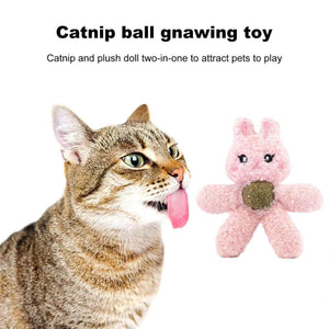 Catnip Ball Bite Toy Teeth Molar Doll Bite-resistant Teeth-resistant Pet Sleeping Toy