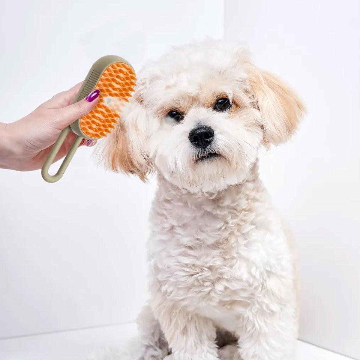 Pet Spray Massage Brush for Cats and Dogs