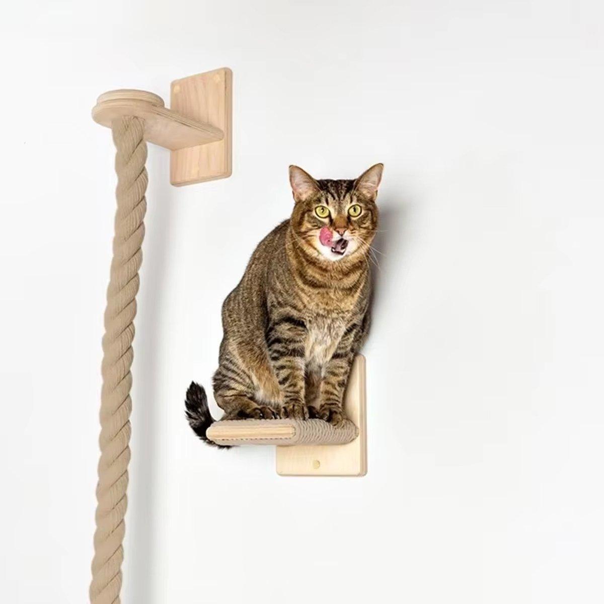 Solid Wood Cat Tree with Platforms & Ladder