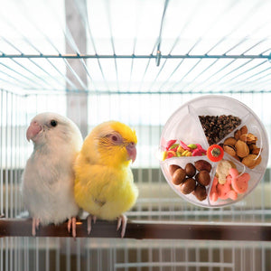 Interactive Parrot Foraging Wheel Toy