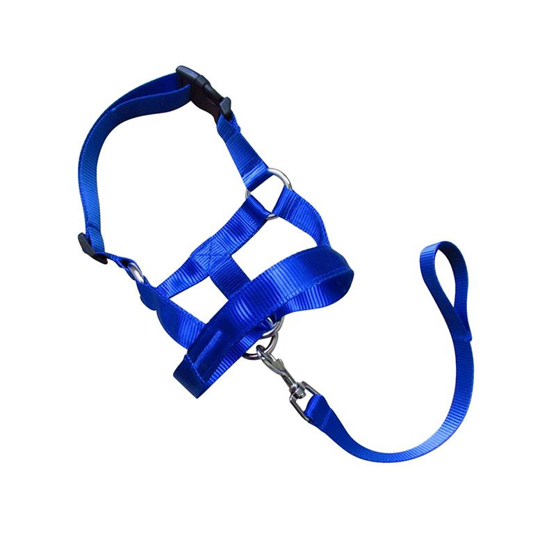 Dog Training Head Collar Halter Stop Pulling Training Tool Harness