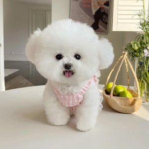 Dog Skirt Pet Clothes Spring And Summer