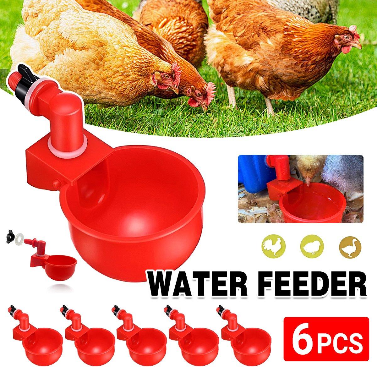 Automatic Poultry Water Feeder - Hygienic Water Supply for Chickens