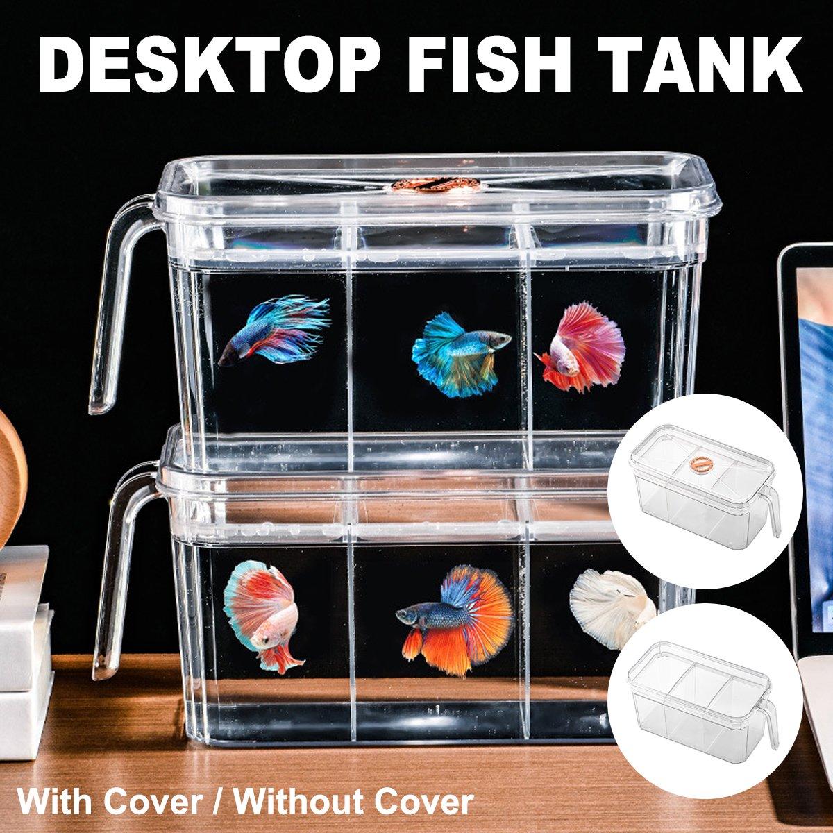 Desktop Fish Tank with Three-Division Design Compact & Stylish Aquarium