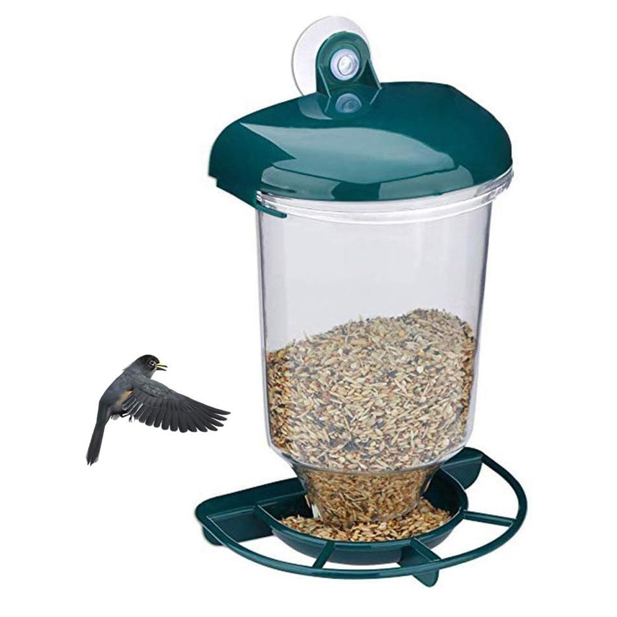 Clear Plastic Automatic Bird Feeder Suspended Suction Cup