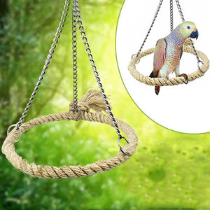 Assorted Budgie Toys - Keep Your Budgie Happy and Engaged