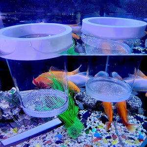 Floating Fluval Fish Breeding Box Safe Isolation for Fry and Mother Fish