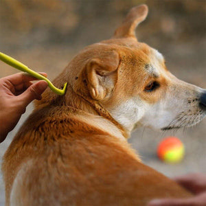 3PCS Pet Tick Removal Tools