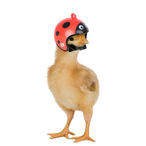 2PCS Mini Pet Chicken Helmet Protective Headgear Set