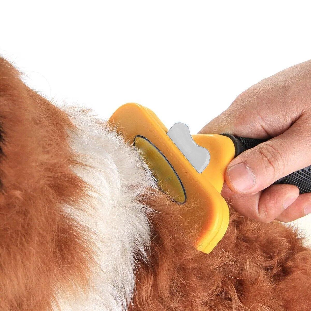 Pet Hair Removal Comb Cat Comb Dog Hair Removal Brush