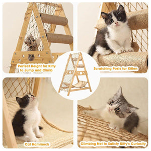 Multifunctional Cat Climbing Frame Hammock Scratching Post & Play Ball