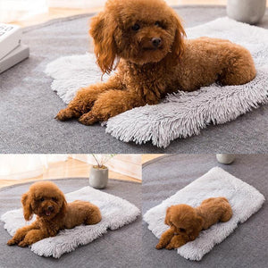 Soft Plush Calming Bed Pet Blanket 127x100cm 4 Colours