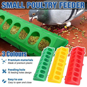 30cm Plastic Chick Birds Pigeons Feeder 3 Colours