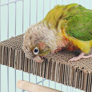 Bird Cage Perch and Chew Toy