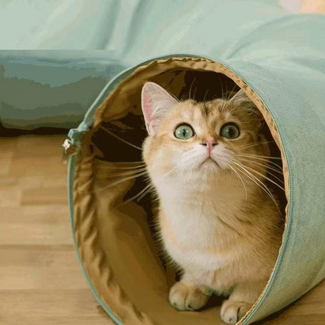 Multi-Functional Cat Tunnel Toy