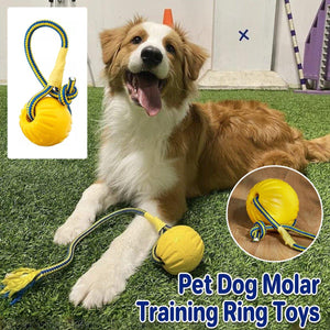 Floating Dog Frisbee made of durable PVC foam, ideal for fetch, water play, and promoting oral health in large dogs.