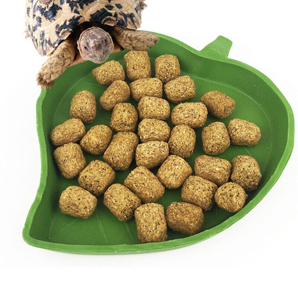 Reptile Feeding Dish Reptile Water Bowl