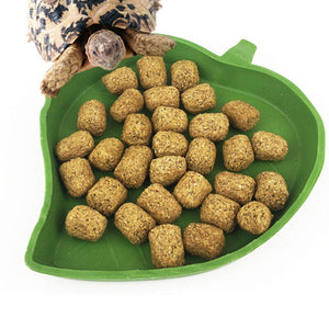 Reptile Feeding Dish Reptile Water Bowl