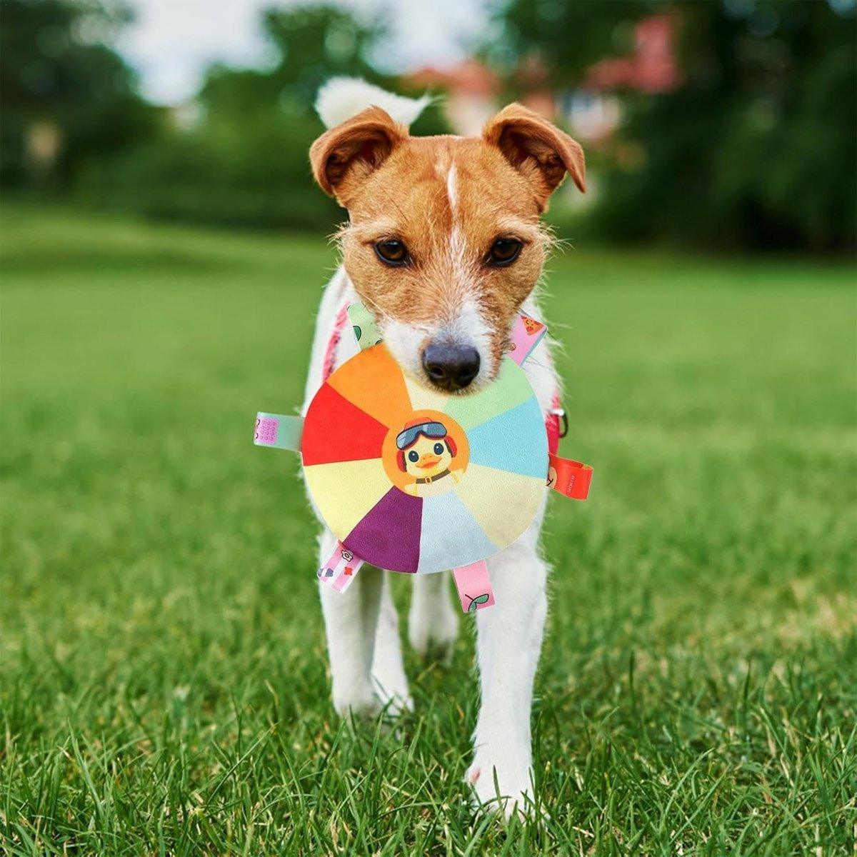 Dog Frisbee Toy Plush Voice Interactive Puppy Frisbee Molar Bite Resistant Pet Side Animal Husbandry Training Special For Dog Training